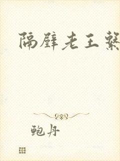 隔壁老王系统