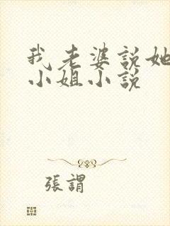 我老婆说她想当小姐小说