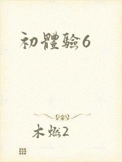 初体验6封面