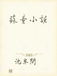 苏童小说