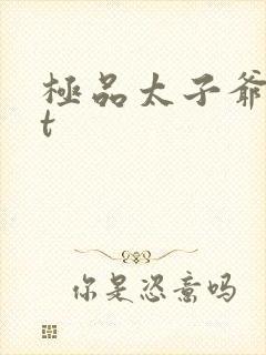 极品太子爷txt
