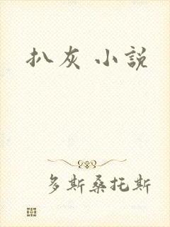扒灰 小说