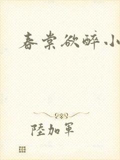 春棠欲醉小说