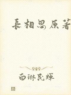 长相思原著小说