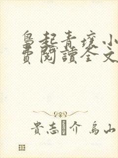 枭起青壤小说免费阅读全文无删减