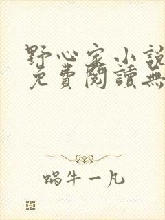 野心家小说全文免费阅读无弹窗