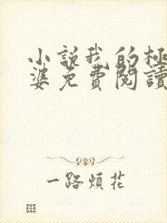 小说我的极品老婆免费阅读全文