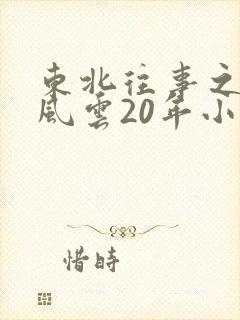 东北往事之黑道风云20年小说封面