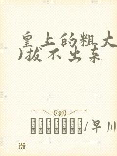 皇上的粗大(h)拔不出来封面