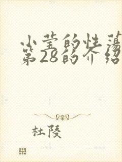 小莹的性荡生活第28的介绍