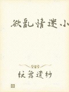 欲乱情迷小说封面