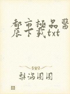 都市极品医神叶辰下载txt