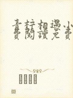 青柠相遇小说免费阅读免费下封面