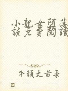 小龙女堕落记小说免费阅读