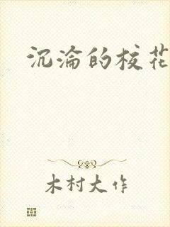 沉沦的校花封面