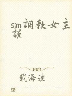 sm调教女主小说