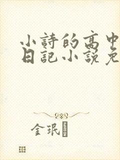 小诗的高中成长日记小说免费阅读