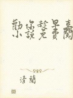 劝你趁早喜欢我小说免费阅读