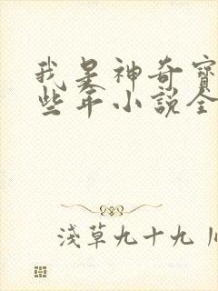 我是神奇宝贝那些年小说全文免费阅读大结局