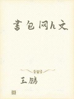 书包网h文