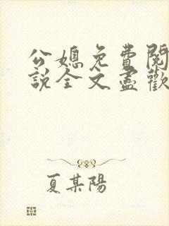 公媳免费阅读小说全文尽欢年代封面
