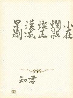星汉灿烂小说无删减正版在线阅读