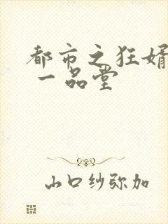 都市之狂婿战神 一品堂