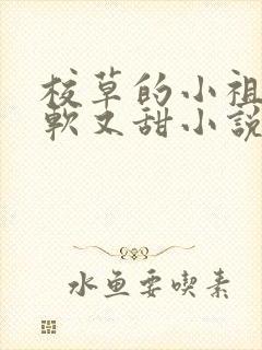 校草的小祖宗又软又甜小说免费阅读封面