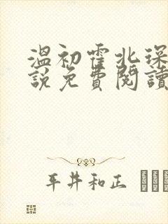 温初霍北琛的小说免费阅读