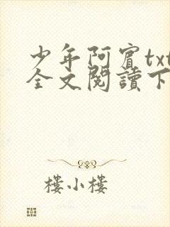 少年阿宾txt全文阅读下载