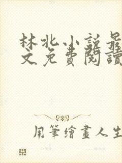 林北小说最新全文免费阅读