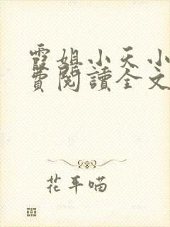 霞姐小天小说免费阅读全文无弹窗