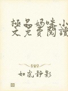 极品妈咪小说全文免费阅读