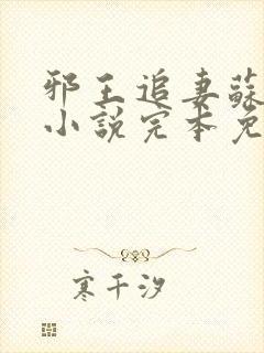 邪王追妻苏小暖小说完本免费阅读