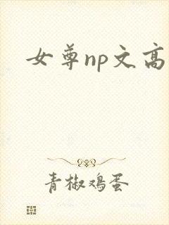 女尊np文高h