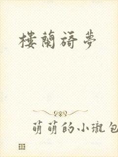 楼兰旖梦封面
