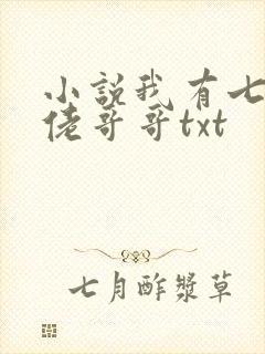 小说我有七个大佬哥哥txt