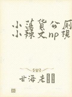 小荡货公厕h文小辣文np视频