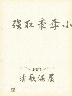 强取豪夺小说