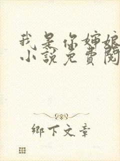 我是你婶娘妈妈小说免费阅读