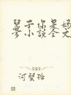 儿子你是妈妈亲爹小说全文阅读封面
