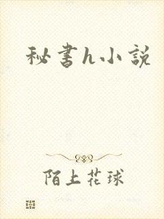 秘书h小说