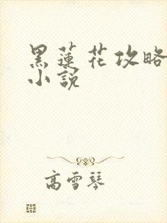 黑莲花攻略手册小说