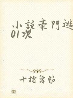 小说豪门逃嫁101次封面