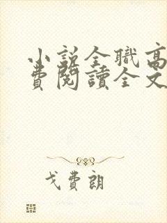 小说全职高手免费阅读全文无窗口