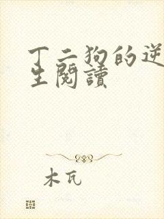 丁二狗的逆袭人生阅读