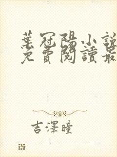 叶冠阳小说全文免费阅读最新章节