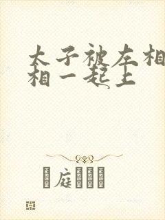 太子被左相和右相一起上