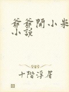 爷爷开小米的包小说