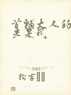 首辅大人的白月光是我封面